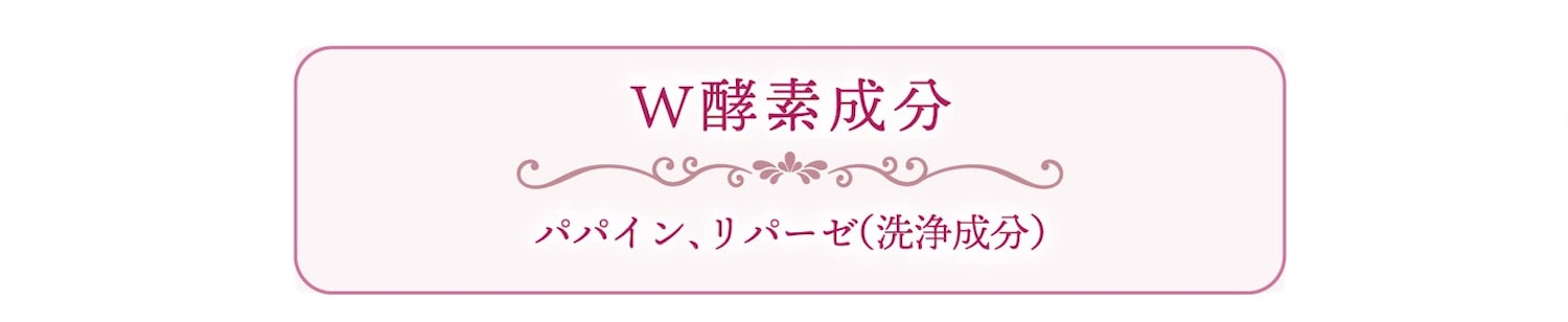 W酵素成分 パパイン、リパーゼ（洗浄成分）